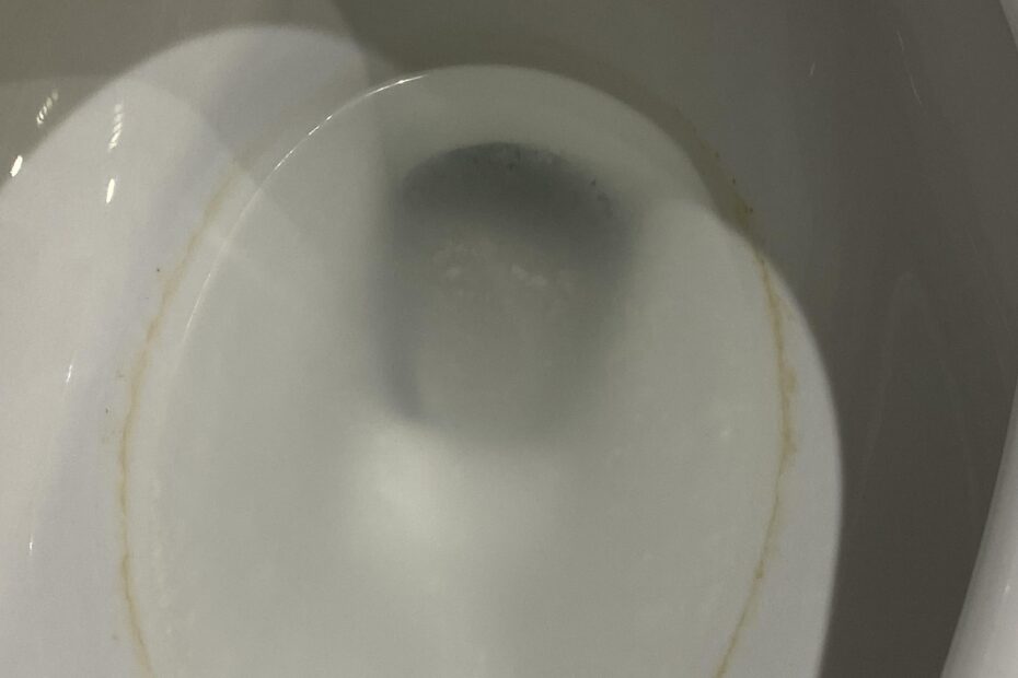 cloudy toilet water