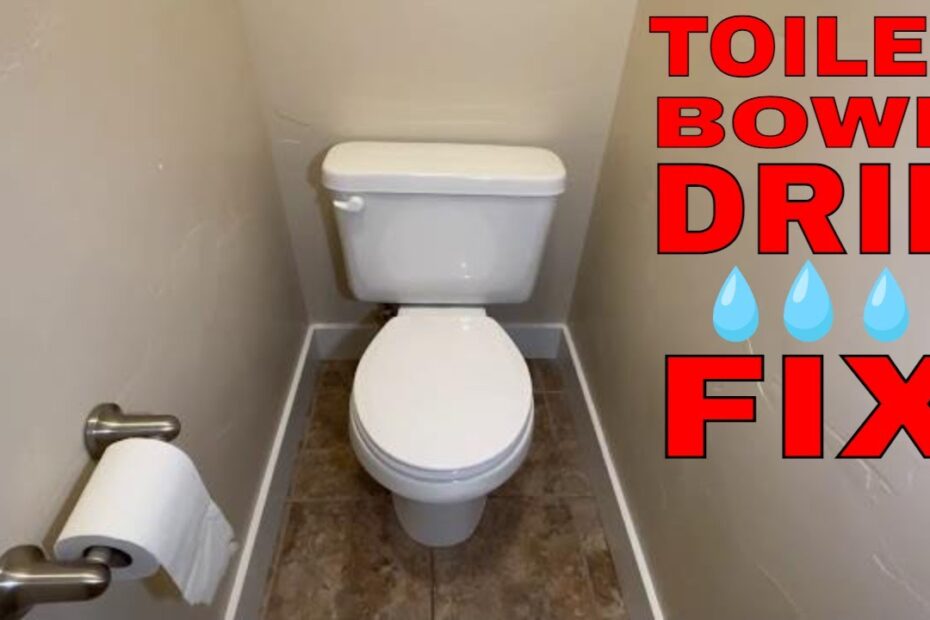 How to Fix a Toilet Leaking Into Bowl