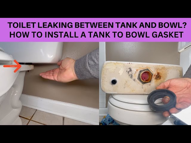 toilet is leaking between tank and bowl