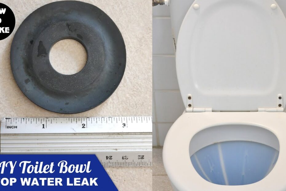 toilet leaks when flashed