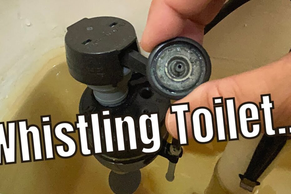 whistling toilet